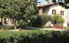 Le Rondini